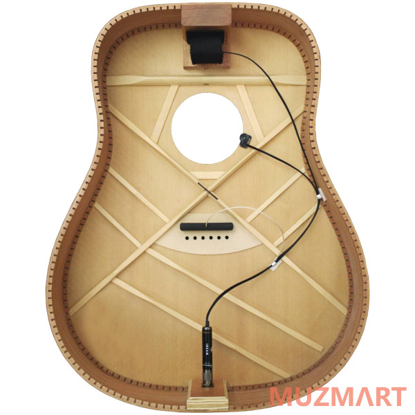 LR Baggs iBAS-C Звукосниматель для классической гитары