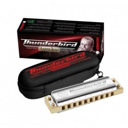 Hohner Marine Band Thunderbird Low C (M201197) Губная гармоника